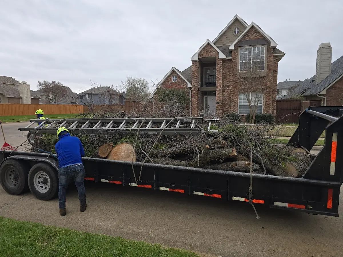 Expert Tree Fertilization with proper safety equipment in Barton